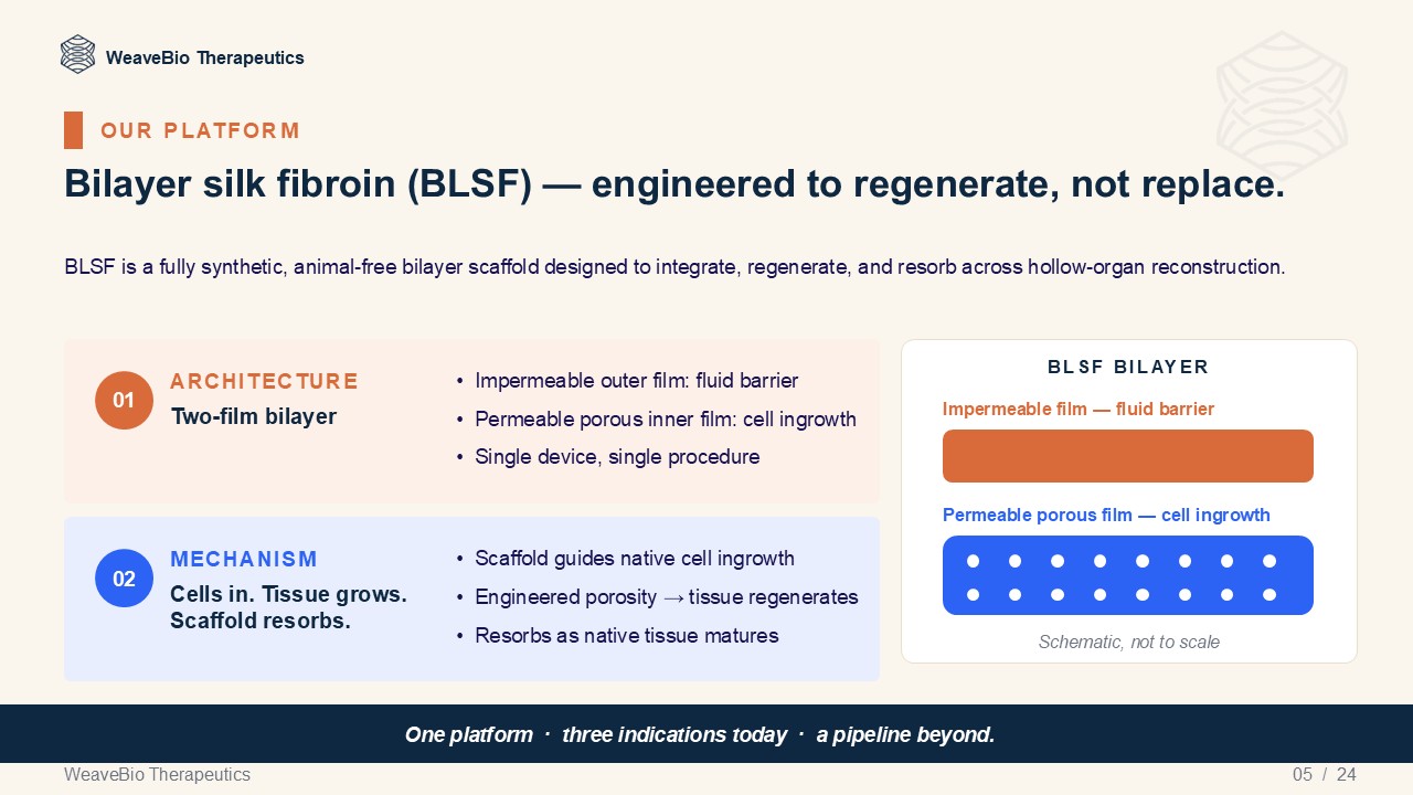 BLSF Bilayer Silk Fibroin Platform — engineered to regenerate, not replace