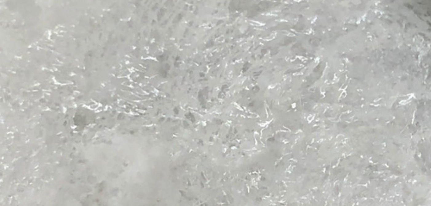 Porous inner layer of the BLSF scaffold, foam surface